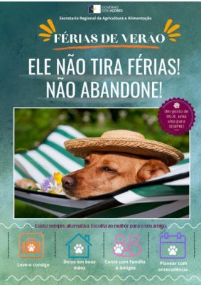 "N&atilde;o Abandono" em per&iacute;odo de f&eacute;rias